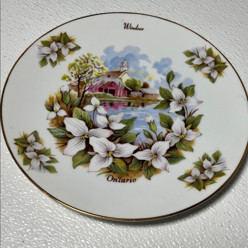 Vintage Floral Windsor Ontario Decorative Plate